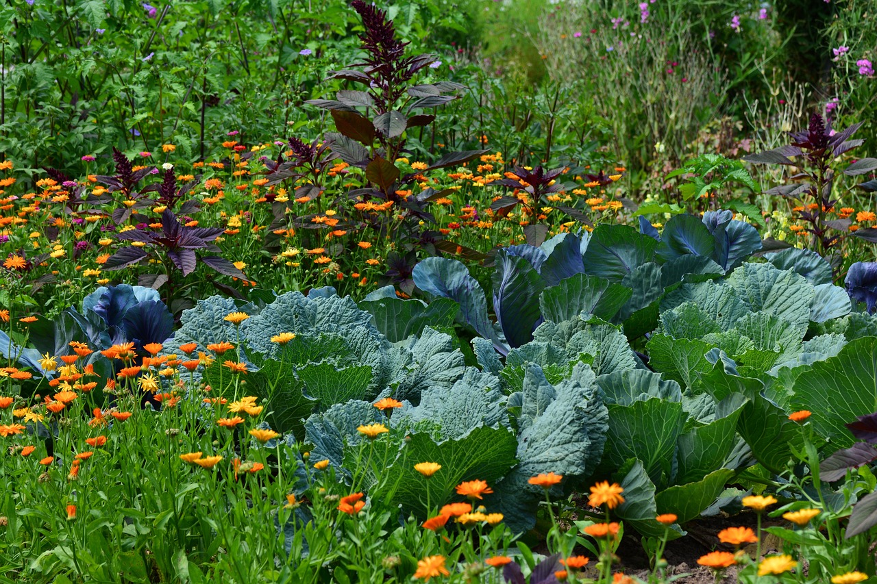 Quels sont les meilleurs l&eacute;gumes et fleurs &agrave; planter en avril pour un jardin productif ?